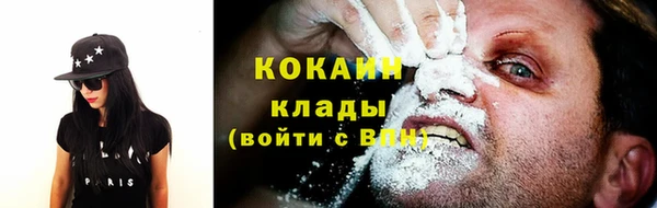 прущие крисы Козловка