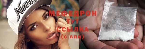 прущие грибы Каменногорск