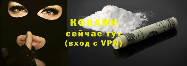 стаф Касимов