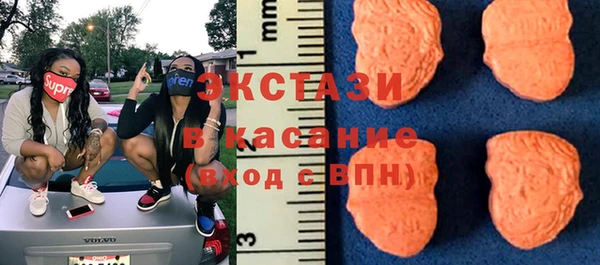 стаф Касимов