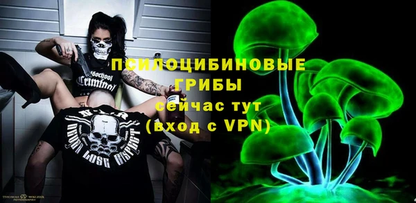 таблы Карпинск