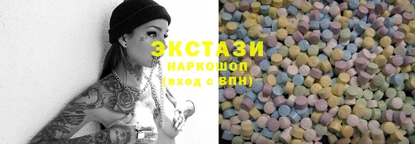 стаф Касимов